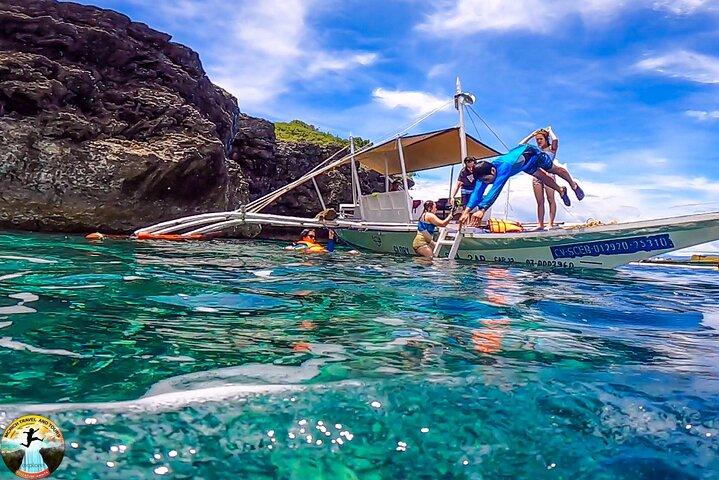 セブ島モアルボアルサーディンラン&ウミガメシュノーケリングツアー