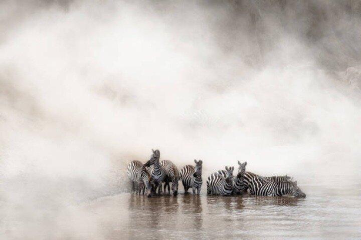 7 - Day Group to Maasai Mara, Lake Naivasha, Servizi e dotazioni della struttura