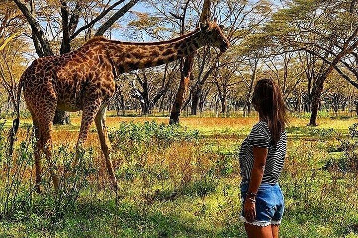 タランギレ、セレンゲティ、ンゴロンゴロクレーターでの5日間のキャンプとマサイ訪問