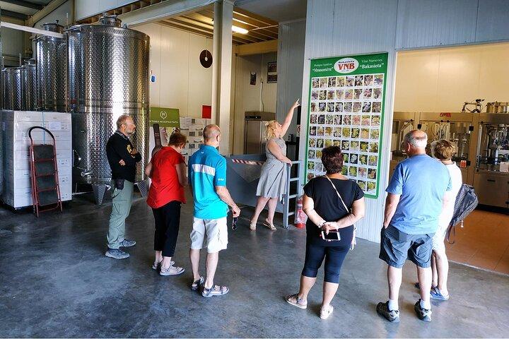 Athènes à l'ancienne Corinthe et Némée | Visite guidée privée d'une journée