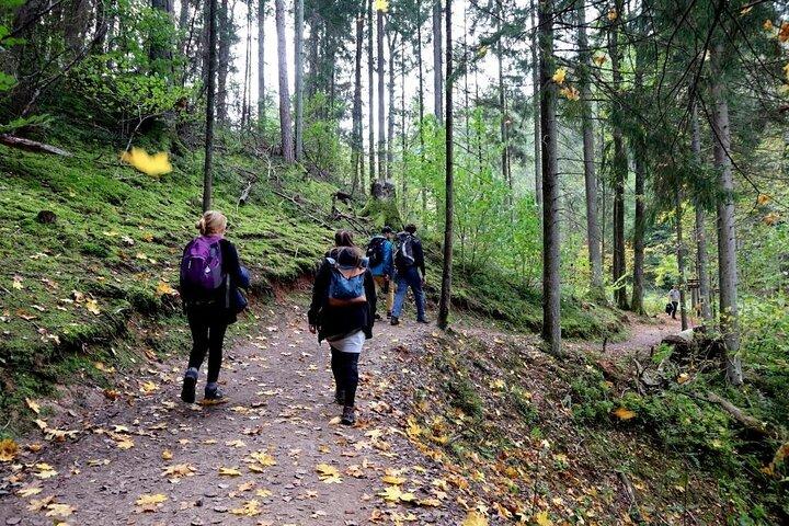 Vandra i nationalparken Gauja - Upp och ner i Lettlands Schweiz