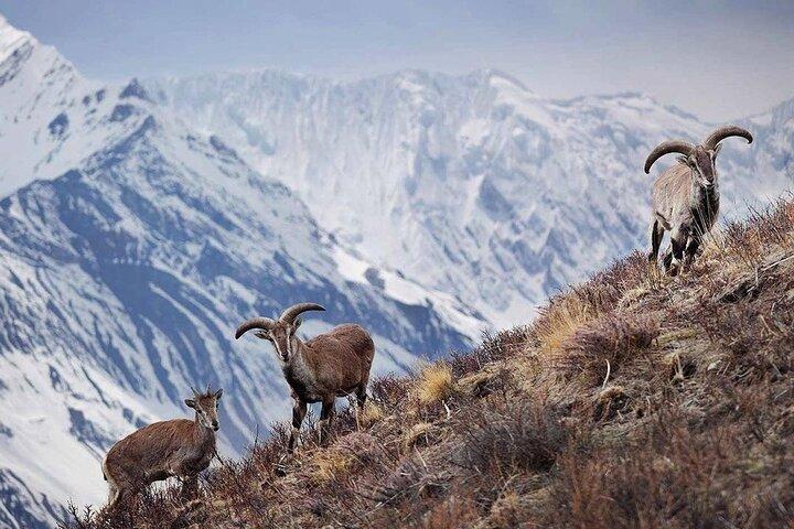 Everest Base Camp Trek - 14 Tage Abenteuer