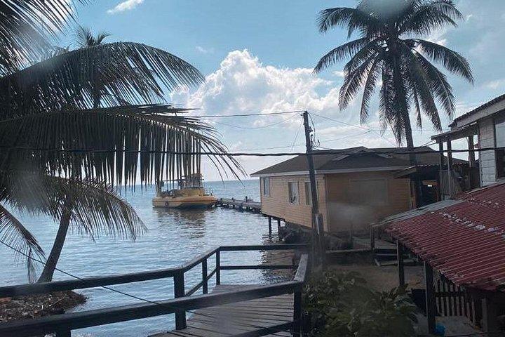 Half-Day Private Roatan Island Tour