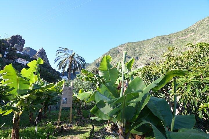 Visitez le parc ethnographique de La Gomera