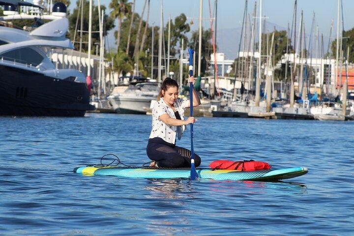 Kayak o paddleboard de 2 horas con leones marinos en Marina del Rey