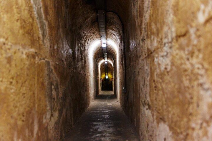 Tour Histórico de la Isla de Rottnest y Tunnel from Hillarys Boat Harbour