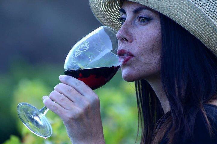 Bezoek wijnmakerij Bodegas Teneguía in La Palma met wijnproeverij