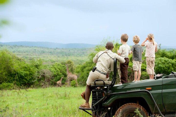 6 dage det bedste ved Tanzania Safari