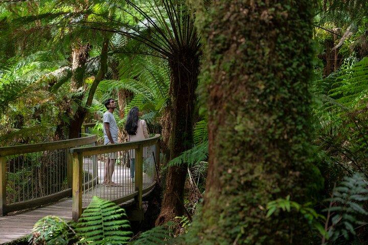 Excursion de 3 jours dans le parc national des Grampians sur Great Ocean Road, aller-retour à Melbourne