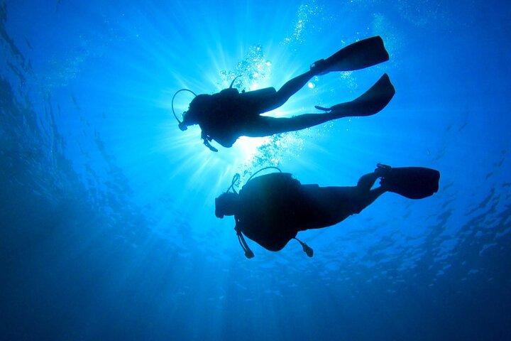 2 Tank Dive (for certified divers)