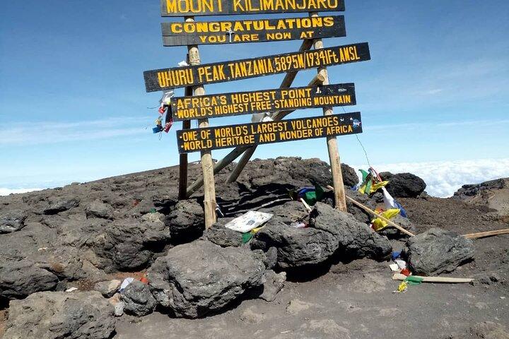 Privat dagstur och vandring i Kilimanjaro nationalpark