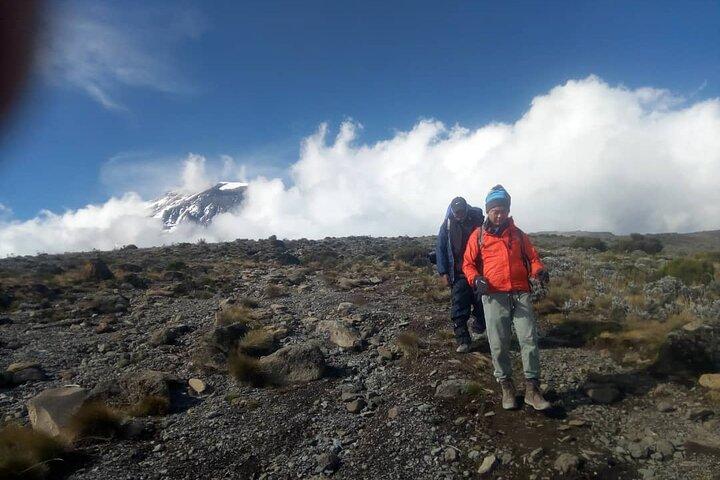 Lille gruppe 7-dages Lemosho-rute Kilimanjaro-bestigning fra Arusha