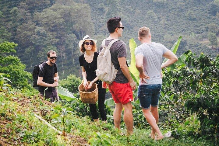 Materuni Waterfalls, Coffee Farm & Local Lunch Experience