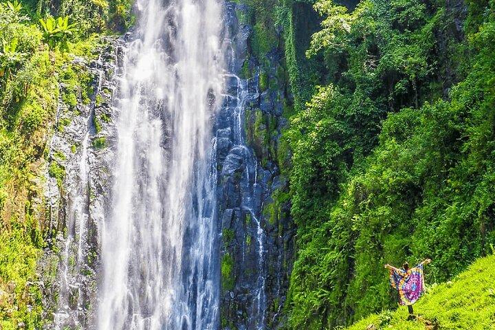 7 Dag: Wildlife Adventure Plus Materuni Waterfalls