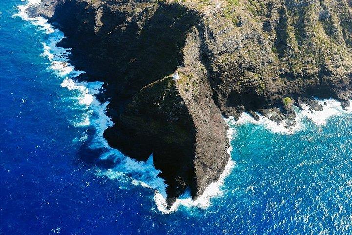 オアフ島南岸のローカル ガイド付き 1 日プライベート ツアー