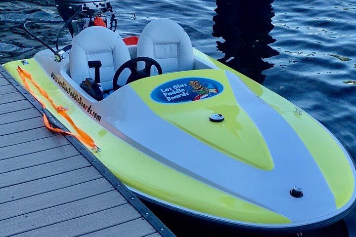 Ft. Noleggio Mini Motoscafo Lauderdale. Tour del canale, yacht, palazzo