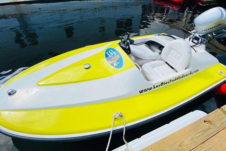 Ft. Noleggio Mini Motoscafo Lauderdale. Tour del canale, yacht, palazzo