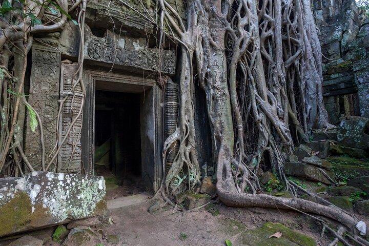 In bicicletta i templi di Angkor