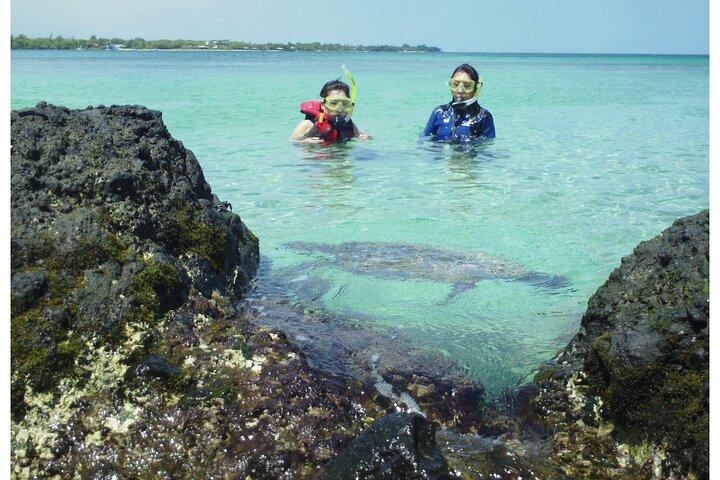 Tour di 3,5 ore in kayak e snorkeling sull'oceano di Kailua-Kona