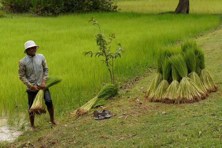 Excursão da vida da vila de Siem Reap