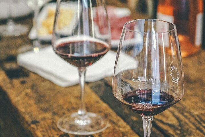 Excursão privada aos vinhos Langhe e Barolo saindo de Milão
