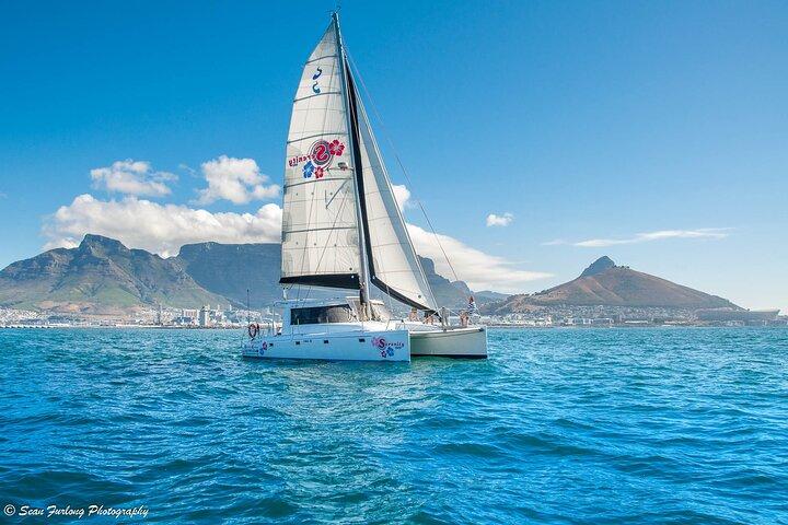 Sailing in The Bay by Catamaran (One Hour)