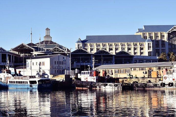 Crucero de media hora por las focas y el puerto desde Ciudad del Cabo