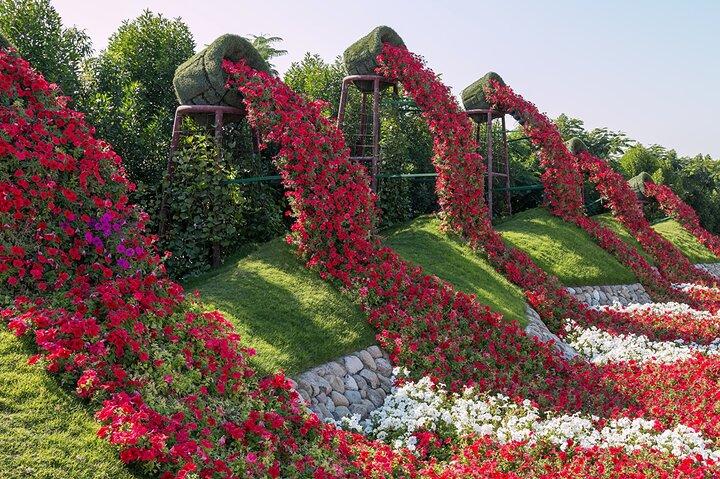 Visite autoguidée du Dubai Miracle Garden avec billet et transfert