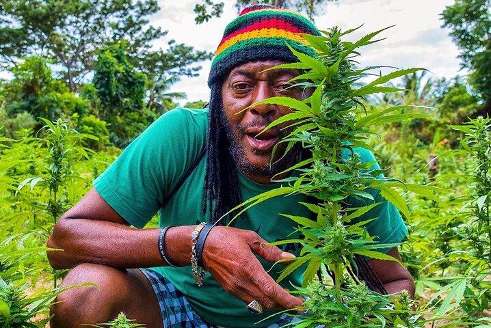 Rastafari culturele ATV-gemeenschapservaring vanuit Montego Bay