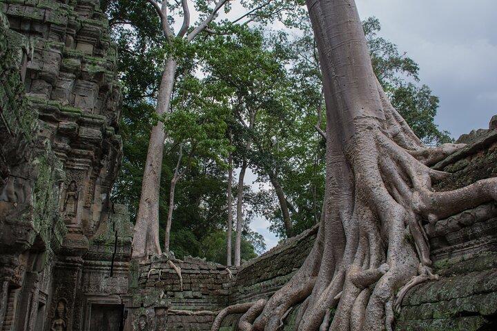 Traslado privado al aeropuerto de Siem Reap