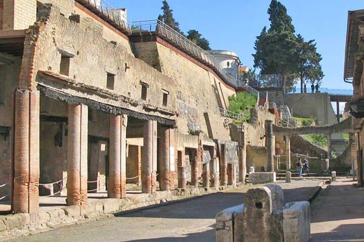 Pompeii & Herculaneum Private Tour: Fast-Track, Winery & Lunch