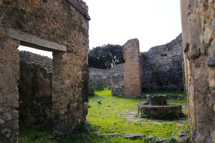 Tour of Pompeii with Skip the Line Tickets & Exclusive Guide