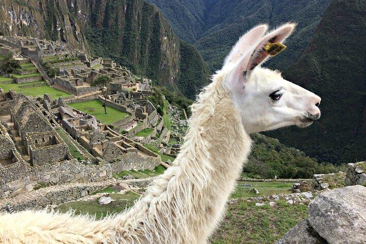 4 - Day | Cusco | MachuPicchu | Rainbow Mountain |