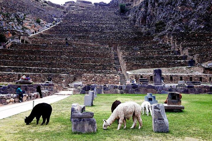 Inkafolkets heliga dal – dagsutflykt från Cusco