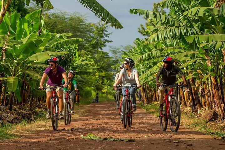 1 día: Tour en bicicleta al Parque Nacional de Arusha