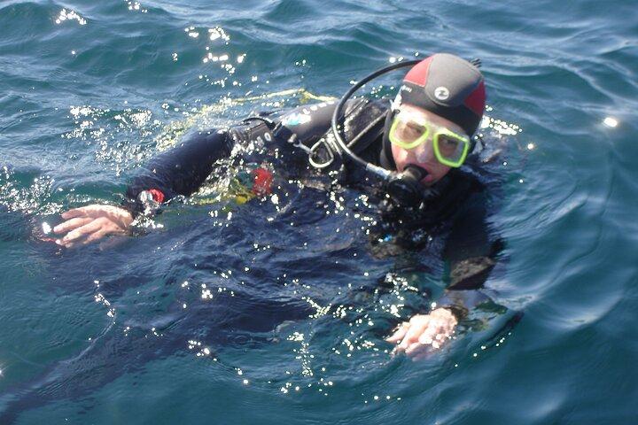 Try Dives - Entdecken Sie Tauchen in Albufeira
