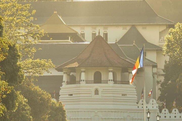 Pacchetto turistico economico di 7 giorni in Sri Lanka