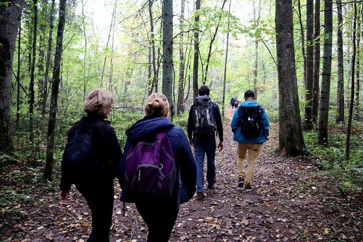 Vandra i nationalparken Gauja - Upp och ner i Lettlands Schweiz