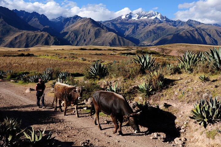 7 Dias de Amanhecer em Machu Picchu: Lima, Cusco e Sacred Valley