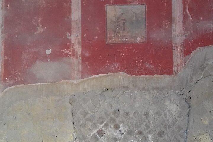Transfer from Naples to Positano with a 2hr stop at Herculaneum (1-8PAX)