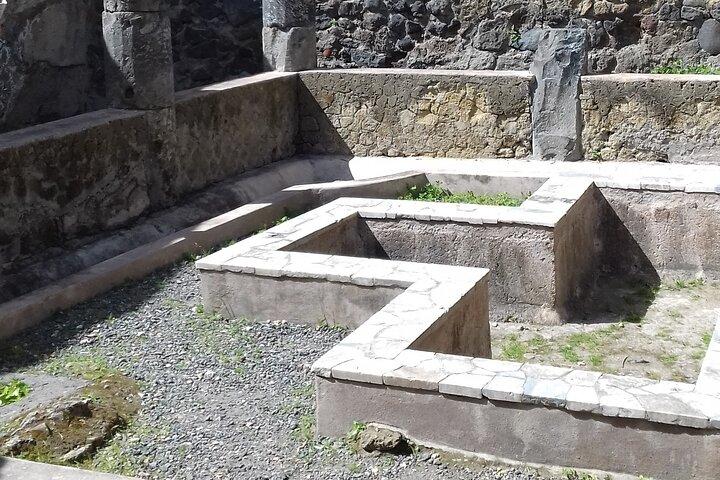 Transfer from Naples to Positano with a 2hr stop at Herculaneum (1-8PAX)