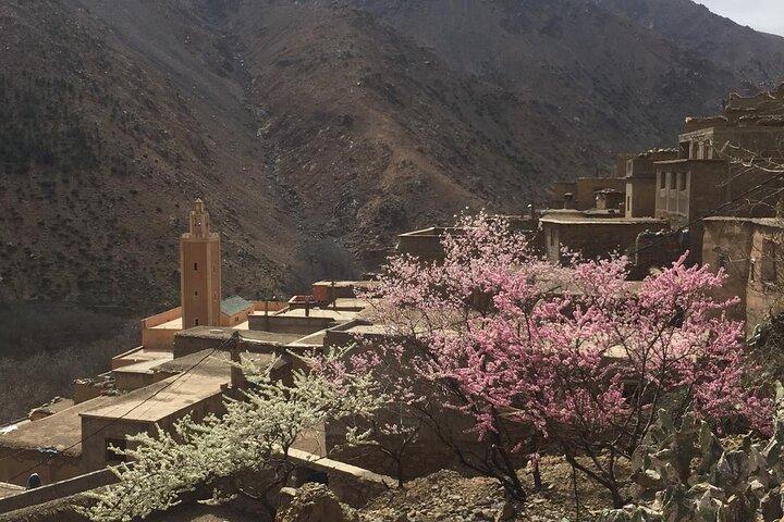 Marrakech: Mount Toubkal Top Trek på 2 dage
