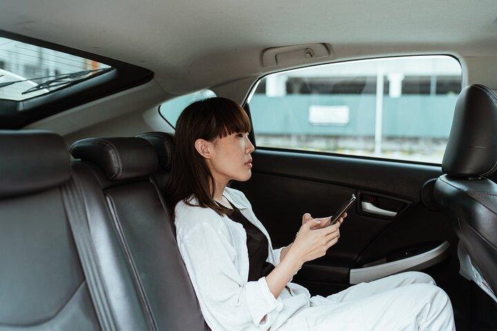 Explorez Osaka en une journée avec chauffeur Anglais