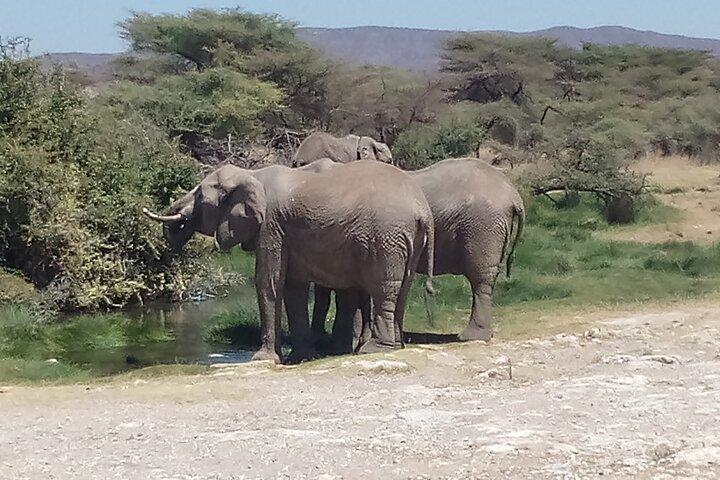 5 Days Safari to Samburu N/R, Meru N/P, Mid range.