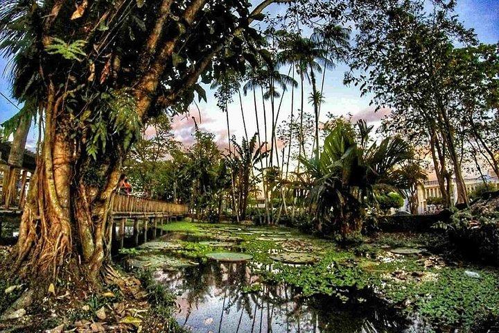 11 Days Explore the Nature & Culture of Colombia