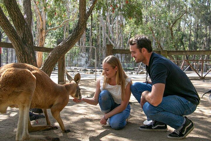 カルンビン・ワイルドライフ自然保護区一般入園券