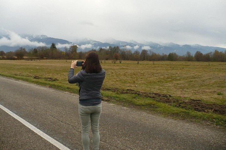 Sibiu Day Trip from Brasov