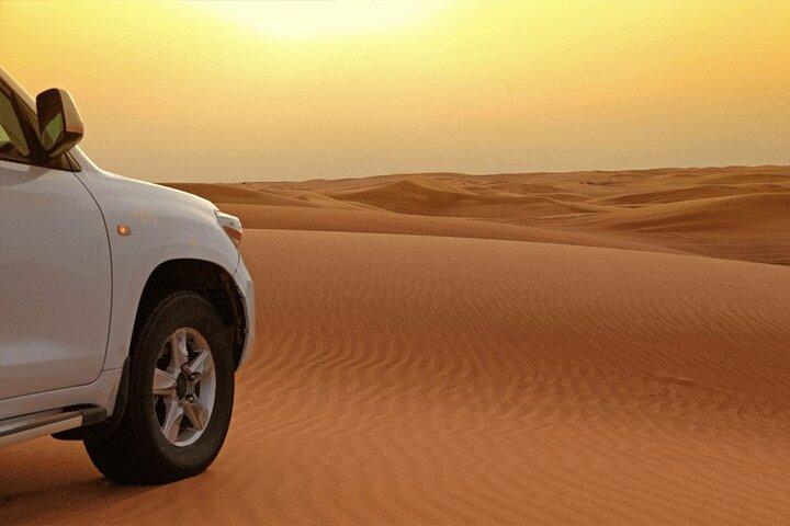 Safari mattutino sulle dune rosse di Dubai con giro in cammello