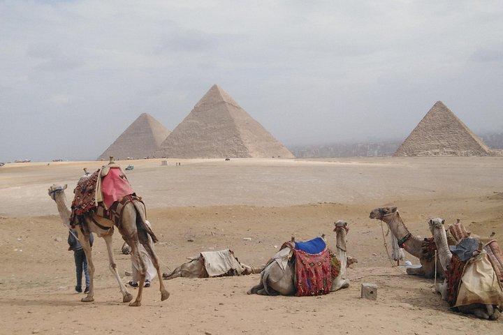 Cairo private day by car including lunch minimum 2 persons