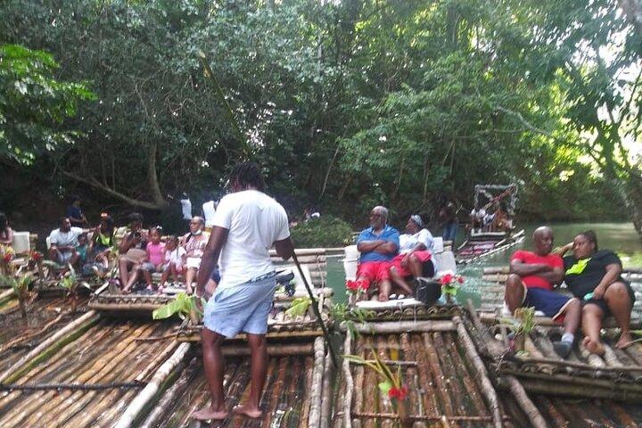 Visite privée à Ocho Rios et ses environs